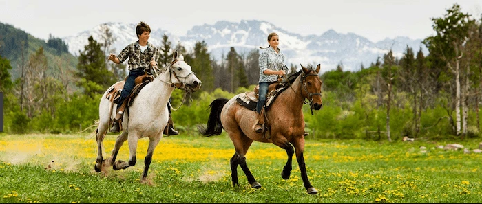 Confident plus-size woman riding Chelmsford a horse through a field with a smile on her face.